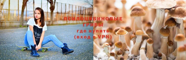 МДМА Верея