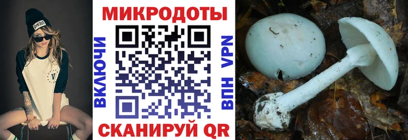 Галлюциногенные грибы Magic Shrooms мега ссылки Гатчина