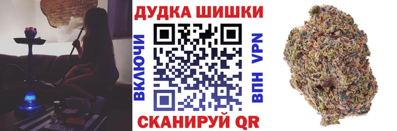 Шишки марихуана гибрид  где купить наркоту  Гатчина 